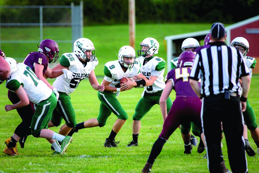 Wildcats Drop Season Opener To Federal Hocking News, Sports, Jobs